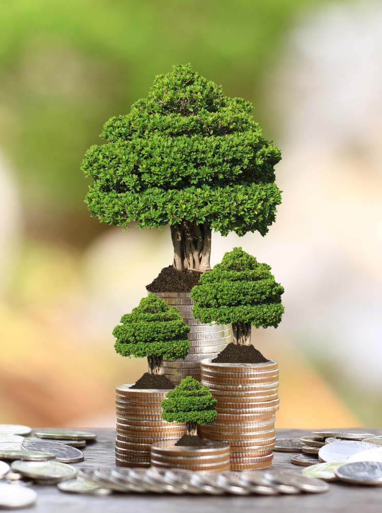 Investir dans l'Écologie | Strasbourg Patrimoine & Finance
